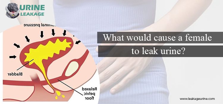 Cause A Female To Leak Urine