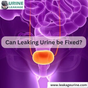 Urinary Incontinence Archives