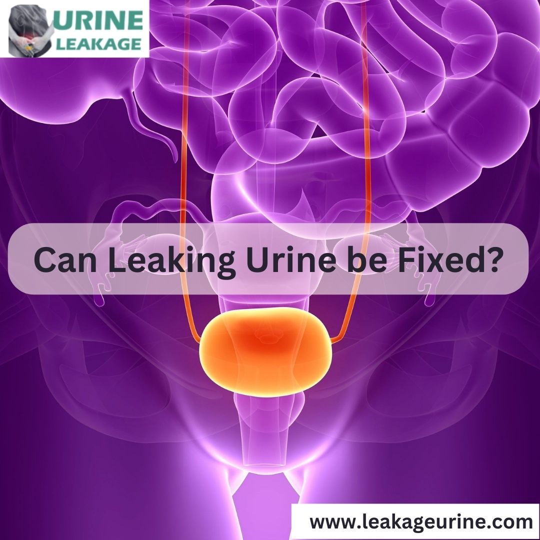 Urine Leakage - Can leaking urine be fixed