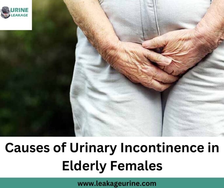 Causes Of Urinary Incontinence in Elderly Females
