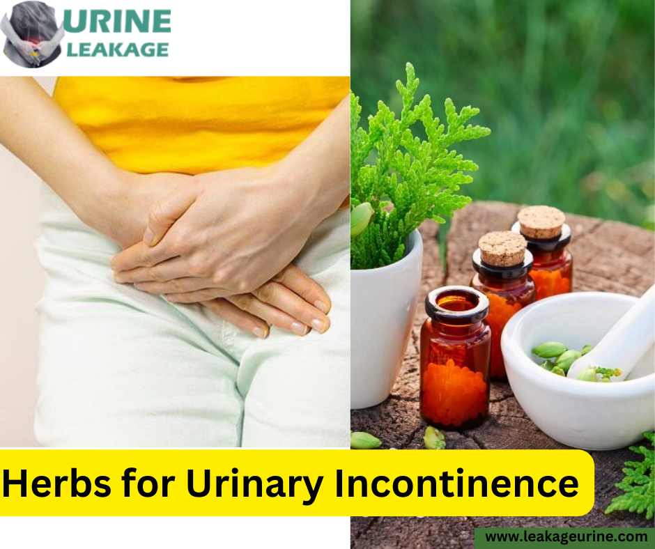 Herbs for Urinary Incontinence