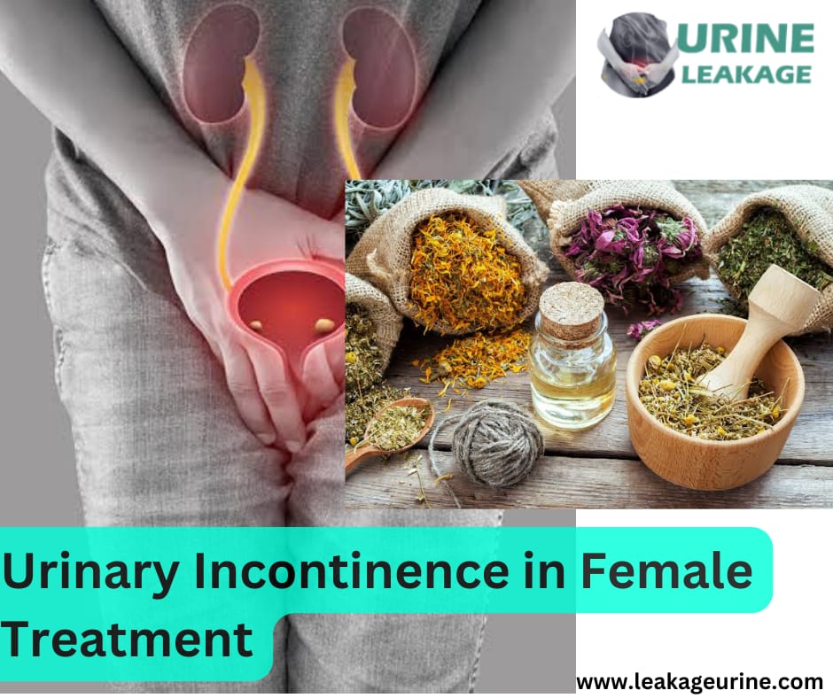 Urinary Incontinence in Female Treatment