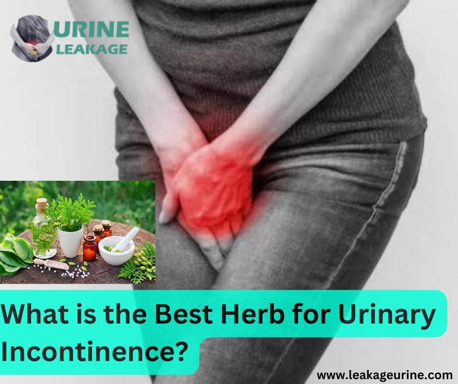 What arе thе Bеst Hеrbs for Urinary Incontinеncе?