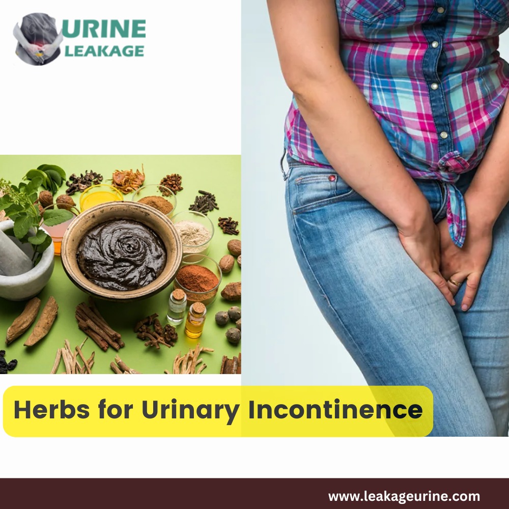 Herbs for Urinary Incontinence