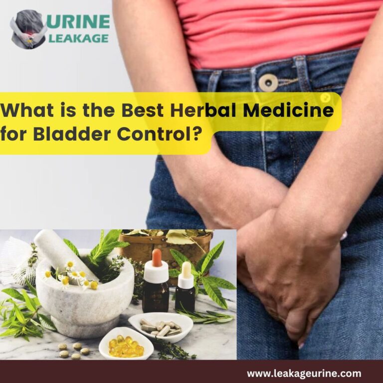 What Is the Best Herbal Medicine for Bladder Control?